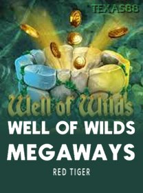Well Of Wilds Megaways game cover